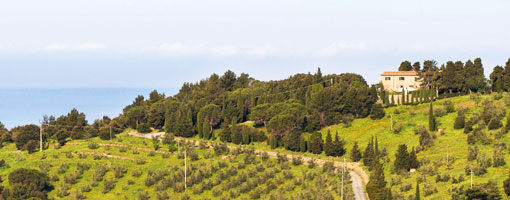 Agriturismo Alberelli, Nibbiaia, Livorno, Toscana