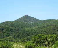 Monte Pelato | Castiglioncello, Livorno - Toscana