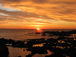 Punta Righini al tramonto  | Castiglioncello, Livorno - Toscana