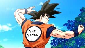 SEO Sayan