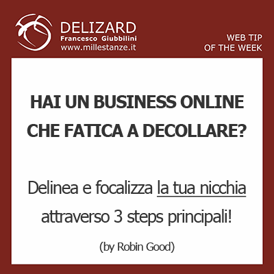 #8 DELIZARD WEB TIP  Identifica e focalizzati sulla tua nicchia per avere successo online!