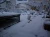 Neve a Rosignano 2012