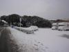 Neve a Rosignano 2012