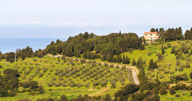 Agriturismo Alberelli Nibbiaia, Livorno - Toscana