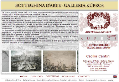 Botteghina d'Arte - Antiquariato, Stampe e Libri Antichi - Rosignano Solvay, Livorno - Toscana