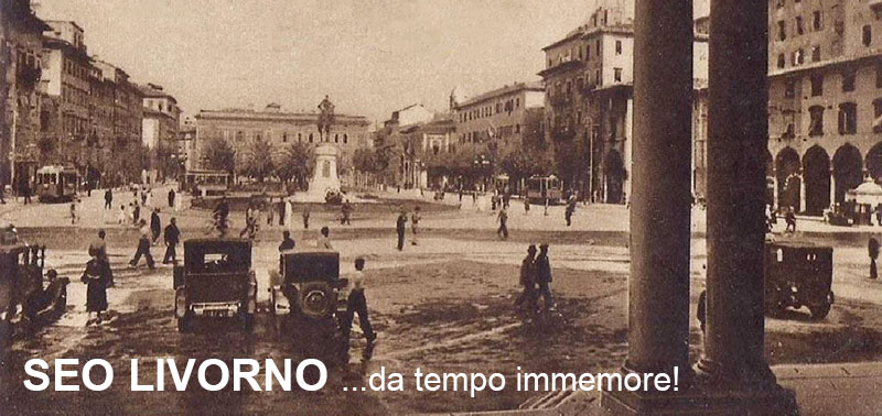 Consulente SEO a Livorno in Toscana, Esperto SEO nel Marketing Turistico - Delizard Siti Web e Inbound Marketing
