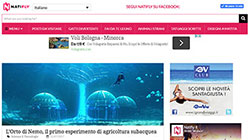 Sito web Wordpress Natifly